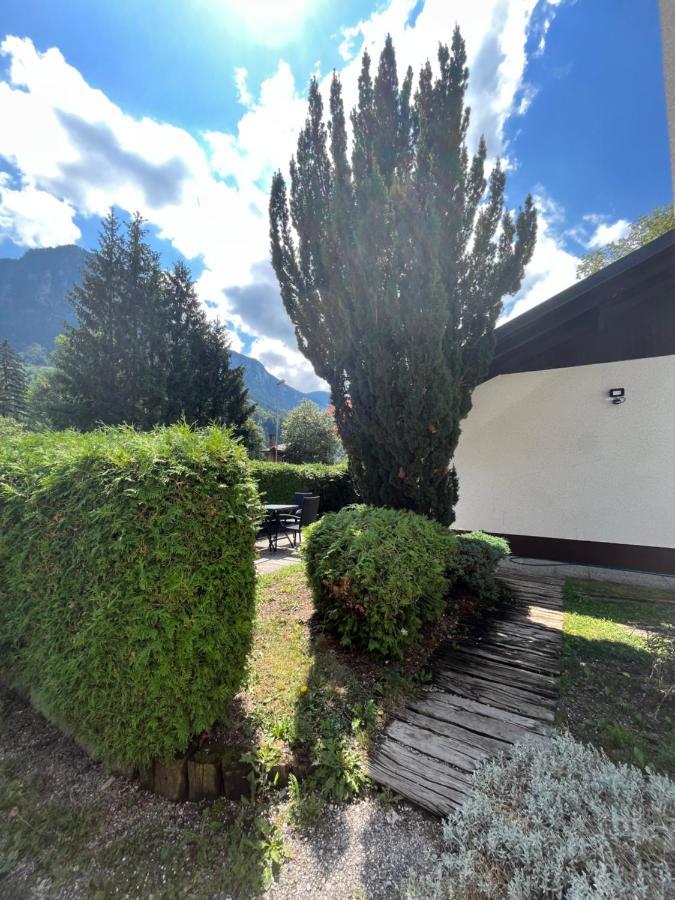 Pod Galetovcem Apartment Bohinjska Bela Exterior photo
